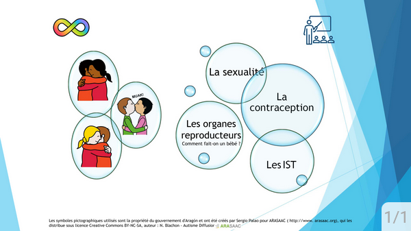 Screenshot 2025-11-18 at 15-52-45 La sexualité - le consentement - les organes reproducteurs - la contraception - les IST Ressources CAA ARASAAC